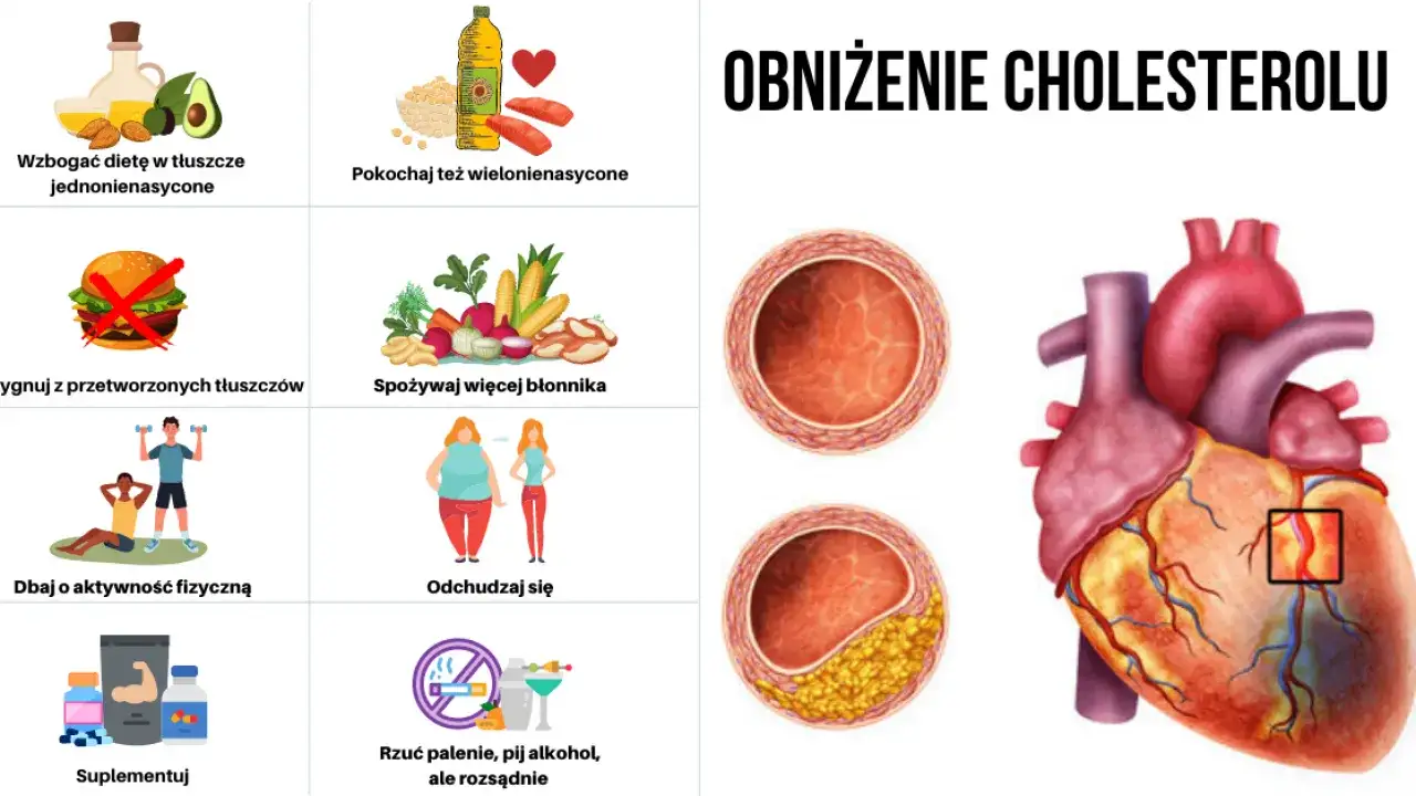 Zdjęcie Skuteczne sposoby na to, czym zbić wysoki cholesterol bez leków