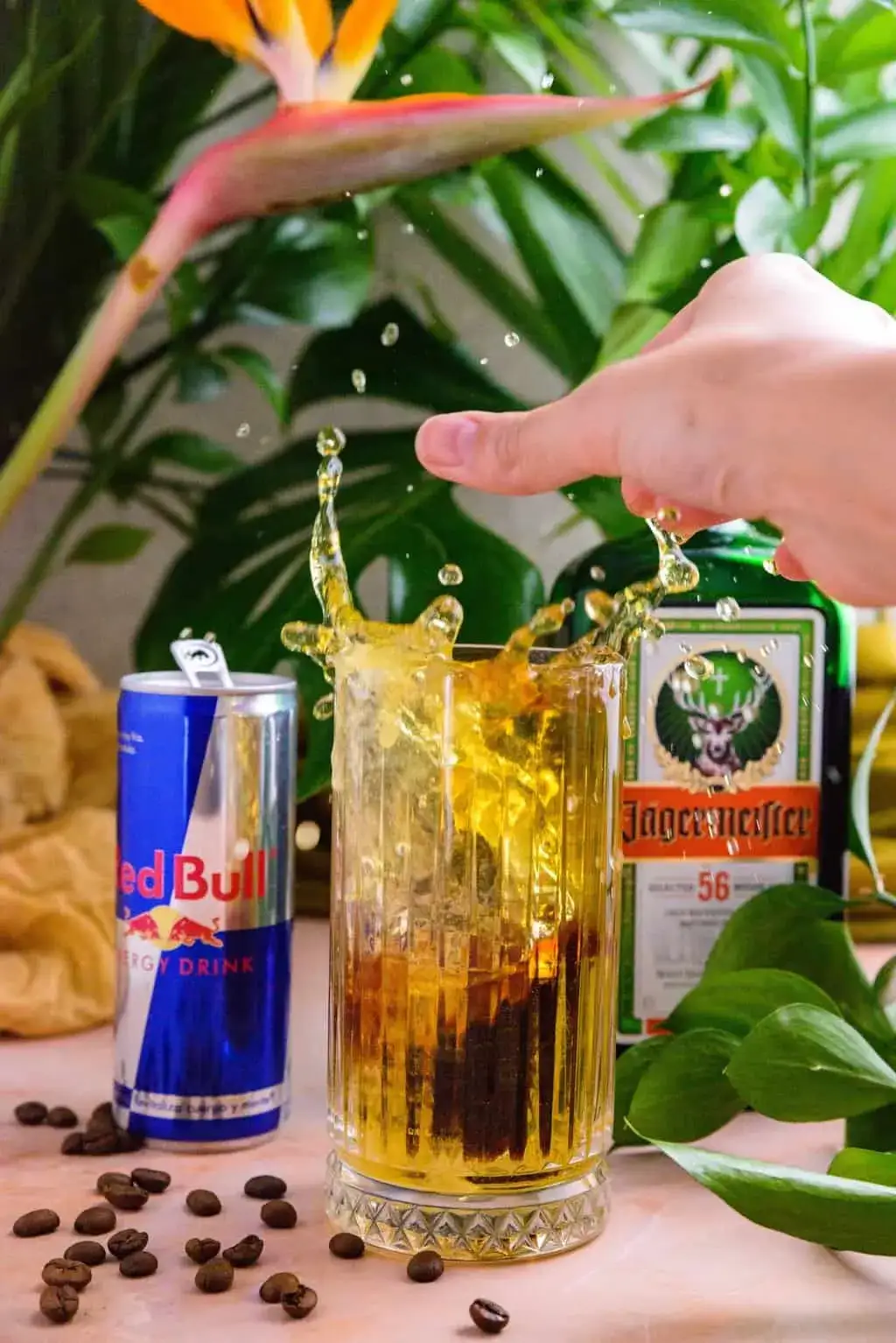 Zdjęcie Jak przygotować drink jagermeister z red bull i uniknąć zagrożeń zdrowotnych