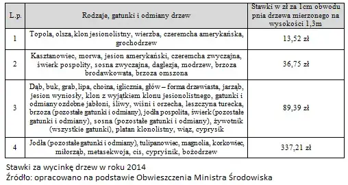 Zdjęcie Jak wyliczyć odszkodowanie za wycinkę drzew i uniknąć strat