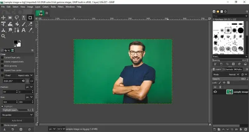 Zdjęcie GIMP czy Photoshop – który program naprawdę warto wybrać?