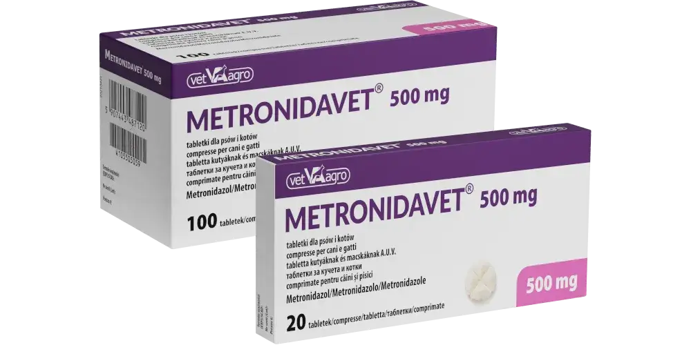 Zdjęcie Na co jest lek metronidazol i jakie infekcje może leczyć?