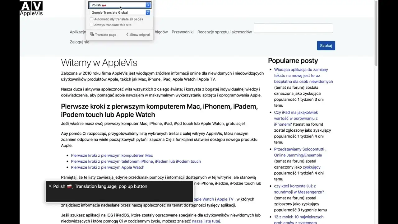 Zdjęcie Jak włączyć tłumaczenie strony w iPhone Safari i uniknąć problemów