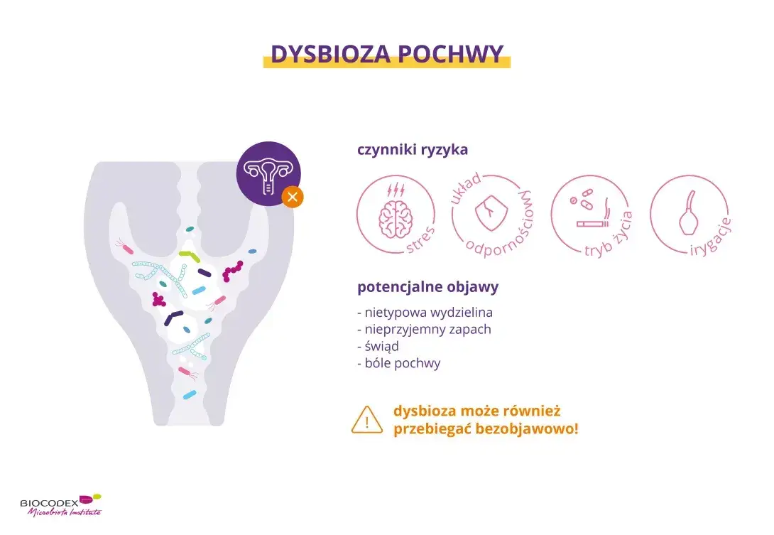 Zdjęcie Mikrobiom pochwy: Jak wpływa na zdrowie intymne? Fakty