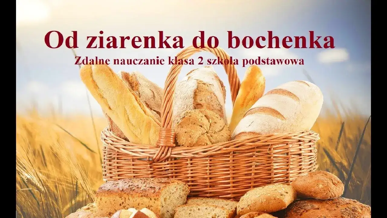 Zdjęcie Jak powstaje chleb? Edukacyjny film dla dzieci o produkcji chleba