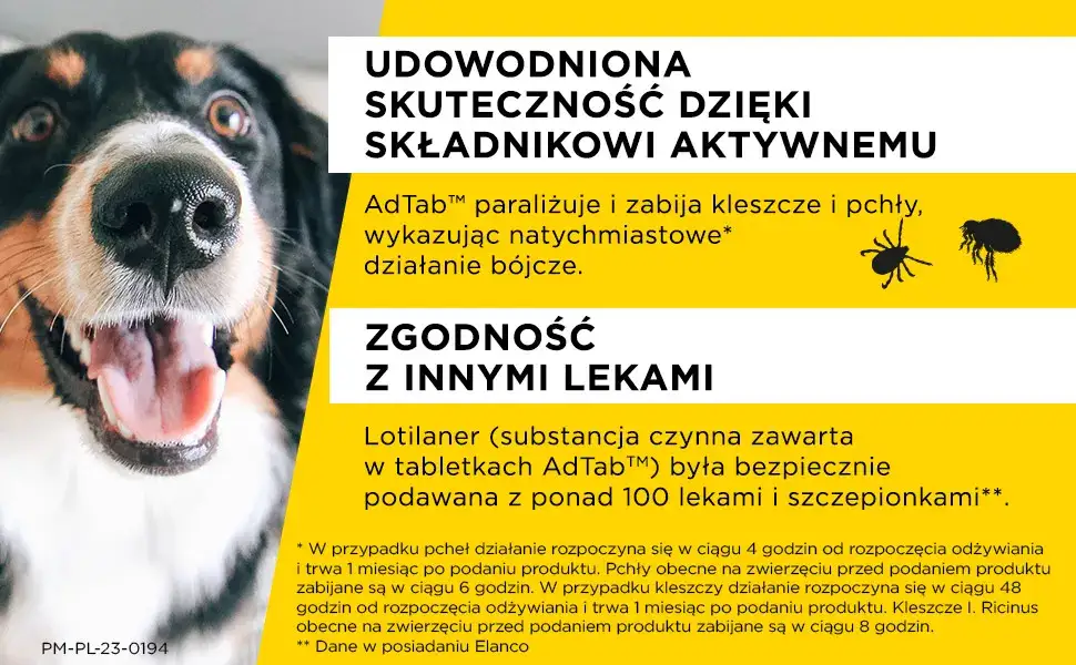 Zdjęcie Jak działa tabletka na kleszcze i jak skutecznie chroni Twojego psa