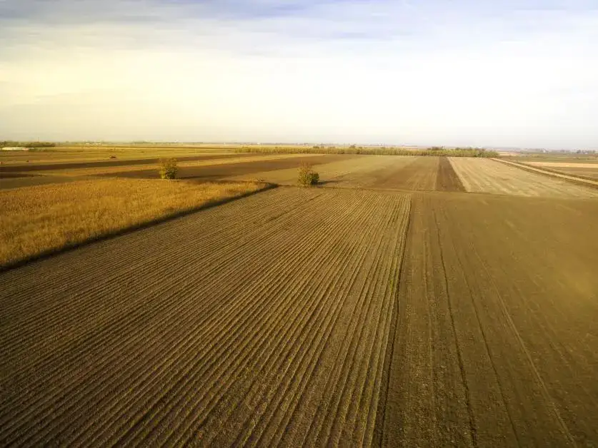 Zdjęcie Kiedy podatek rolny a kiedy od nieruchomości? Uniknij nieporozumień!