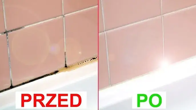 Zdjęcie Skuteczne sposoby na pozbycie się grzyba z silikonu w domu