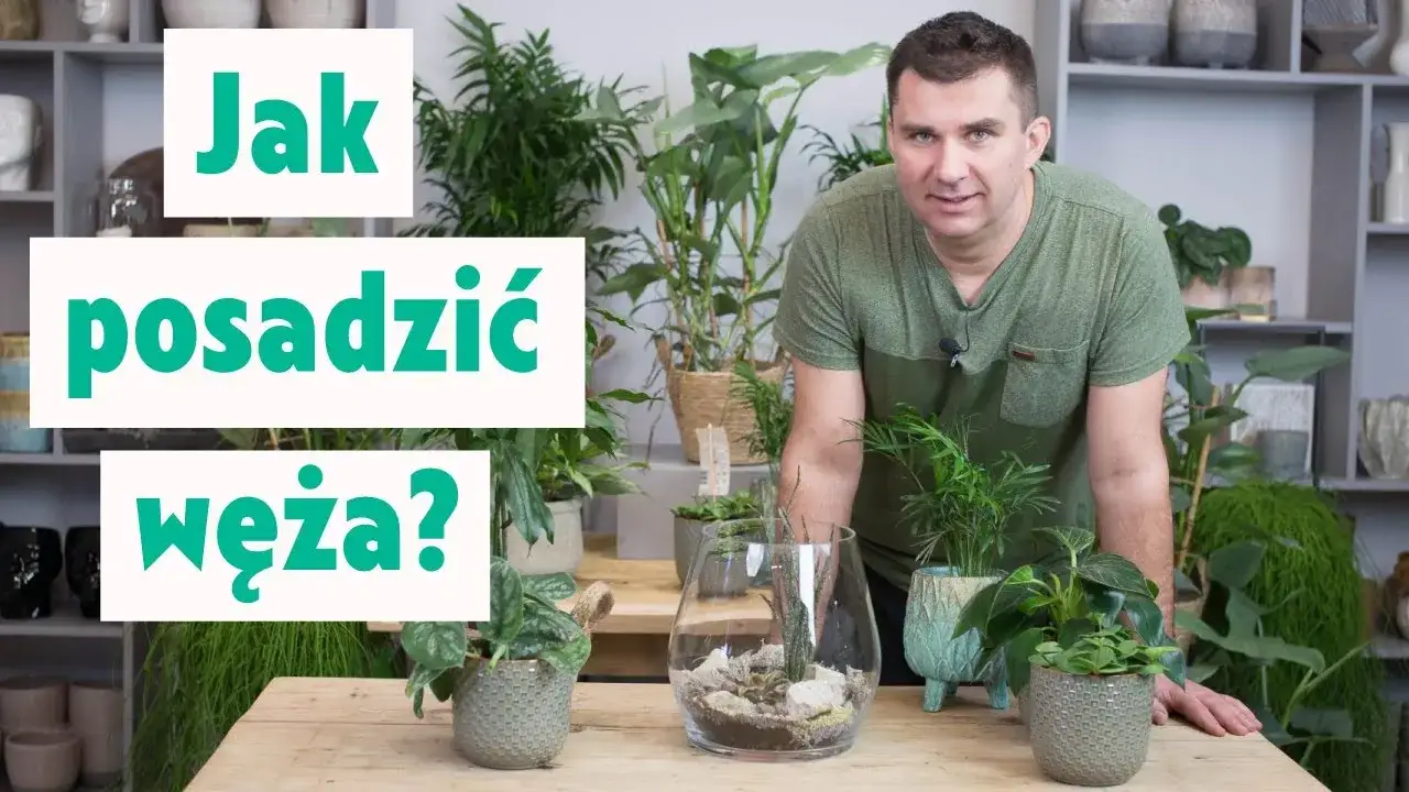 Zdjęcie Jak zrobić ozdoby w szkle: proste pomysły na wyjątkowe dekoracje