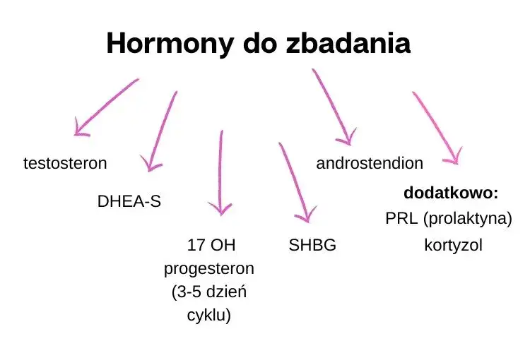 Zdjęcie Podwyższony poziom androstendionu: objawy, przyczyny i skutki zdrowotne