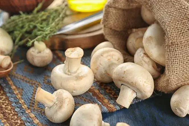 Zdjęcie Ile kcal ma pieczarka? Pełna analiza kaloryczności pieczarek