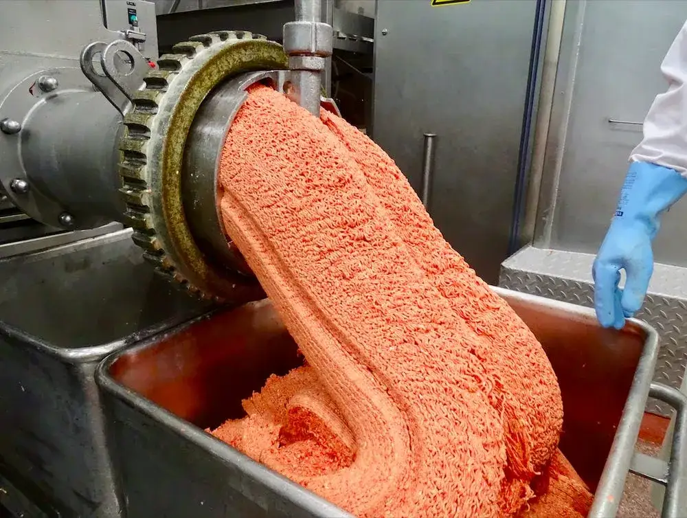 Zdjęcie Hamburger McDonald's: Prawda o składzie, która odbiera apetyt