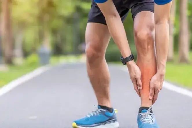 Zdjęcie Co to goleń? Poznaj jej funkcje i zastosowania w kuchni oraz rehabilitacji