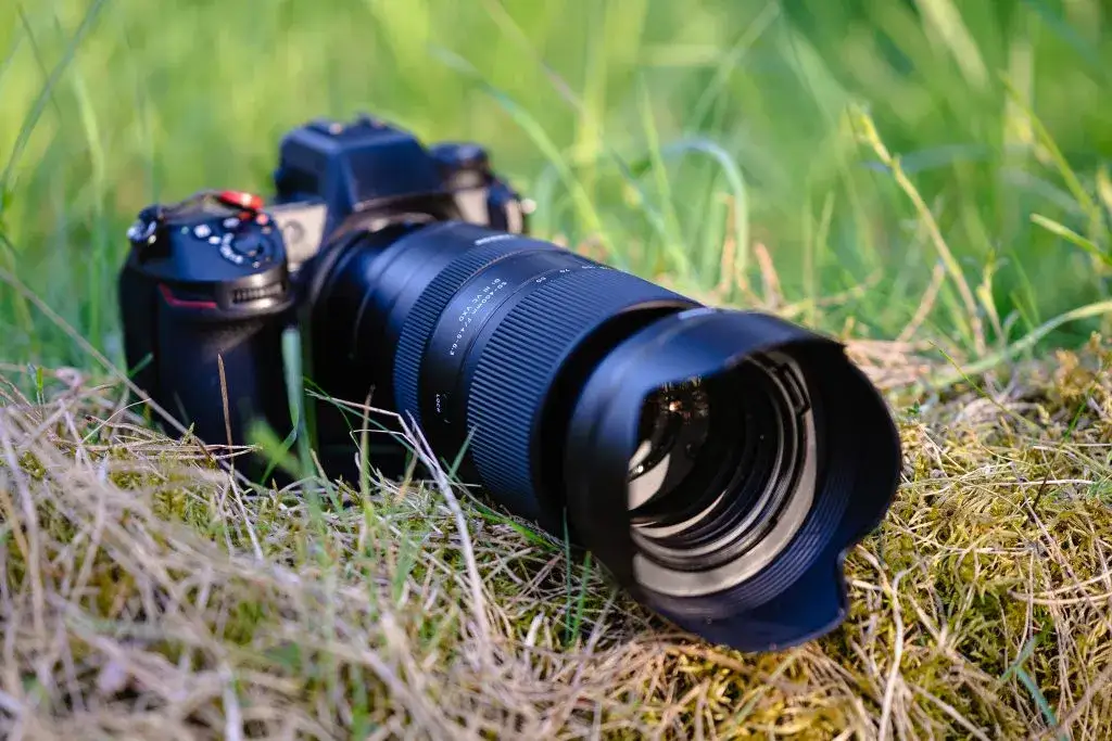 Zdjęcie Obiektyw Tamron czy Nikkor - który wybór nie zawiedzie fotografa?