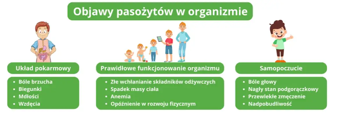 Zdjęcie Lamblia objawy psychiczne: jak infekcja wpływa na twoje samopoczucie