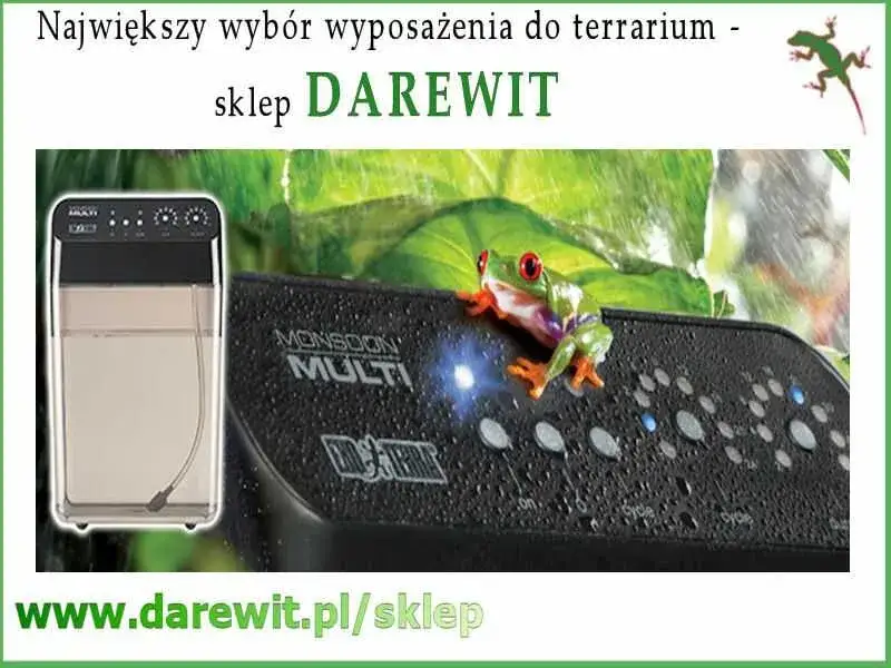Zdjęcie Jak zrobić zraszacz do terrarium i uniknąć problemów z nawilżaniem