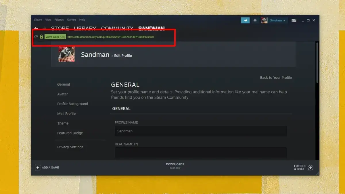 Zdjęcie Co to Steam ID i jak może wpłynąć na twoje konto w grach?
