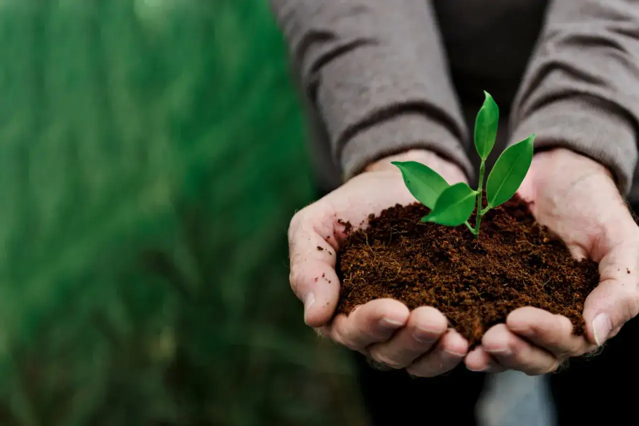 Zdjęcie Co to jest nawóz organiczny i jak może poprawić Twoje plony