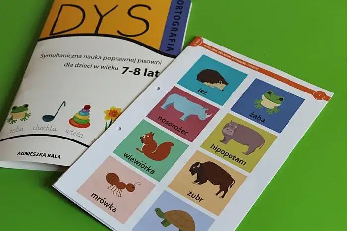 Zdjęcie Poprawna pisownia przedszkole – unikaj wpadek ortograficznych i pisz bezbłędnie!