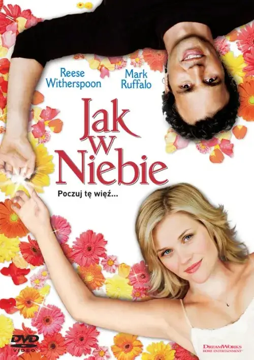 Zdjęcie Jak w niebie na Netflix – dlaczego nie znajdziesz tego filmu?