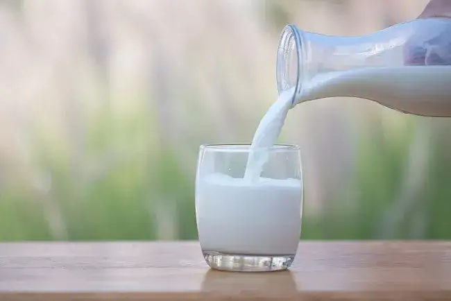 Zdjęcie Ile kcal ma mleko i które wybrać dla zdrowej diety? Kompleksowy przegląd