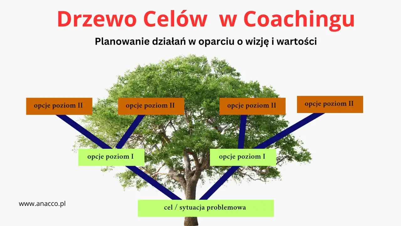 Zdjęcie Co robi coach? Poznaj najważniejsze zadania i metody coachingowe