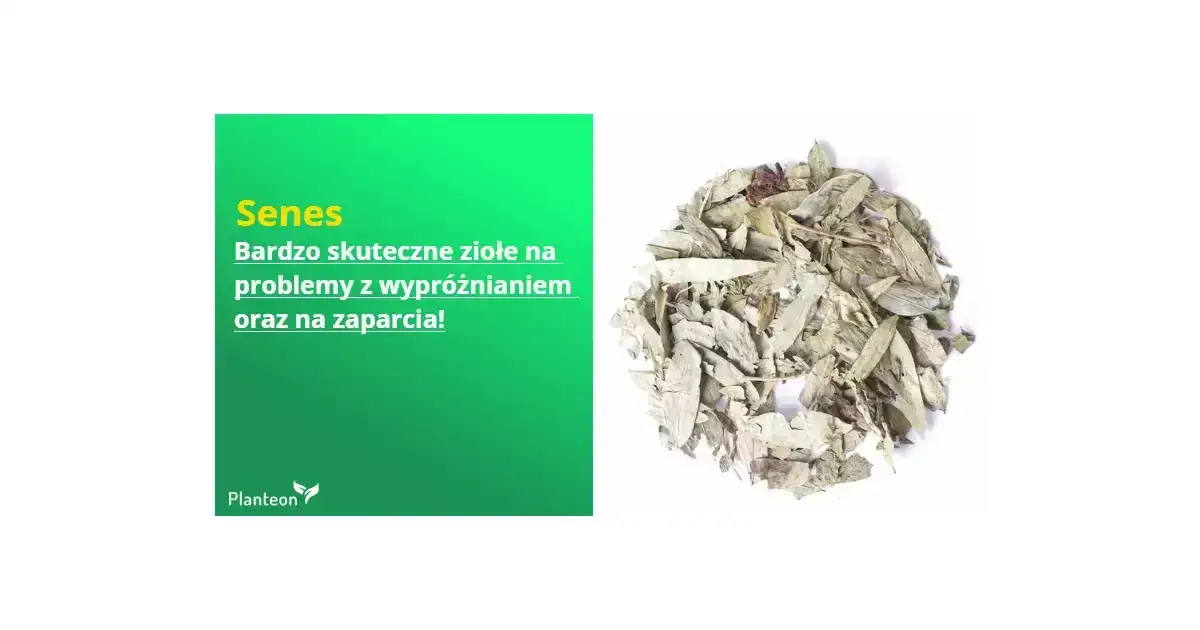 Zdjęcie Skuteczne herbaty na zaparcia - te zioła przyspieszą wypróżnianie