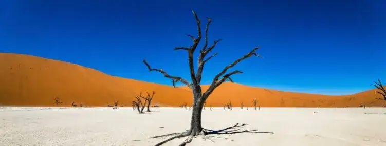 Zdjęcie Namibia kiedy jechać: najlepszy czas na safari i piękne krajobrazy