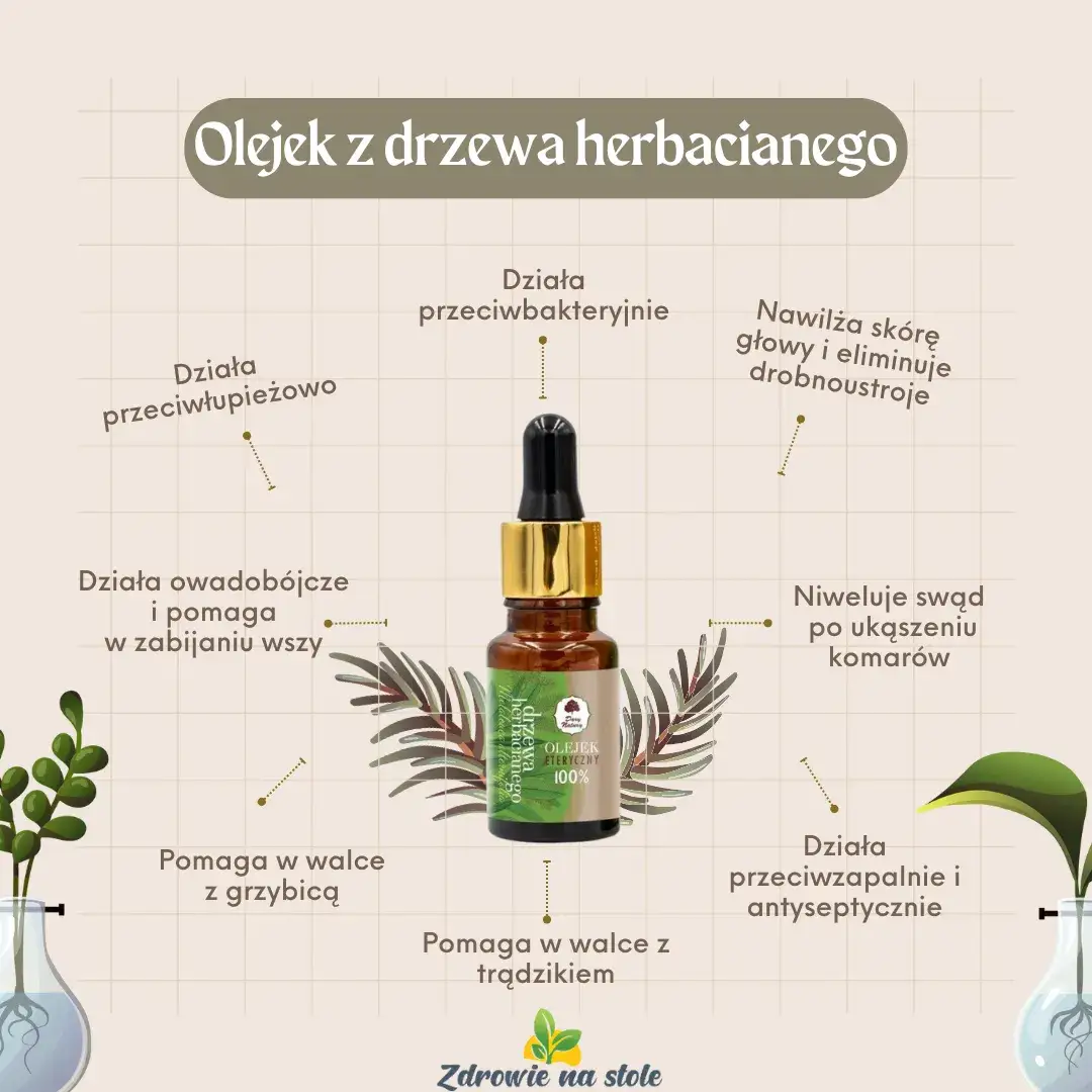 Zdjęcie Jak stosować olejek z drzewa herbacianego na grzybicę paznokci skutecznie?