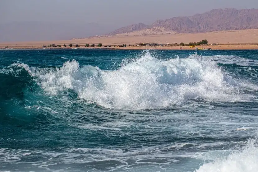 Zdjęcie Czy jest bezpiecznie w Marsa Alam? Oto co musisz wiedzieć o zagrożeniach