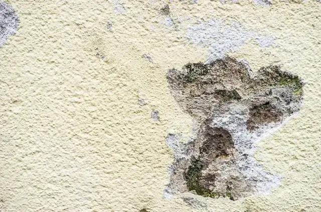 Zdjęcie Jak samodzielnie naprawić dziurę w elewacji i uniknąć dalszych uszkodzeń