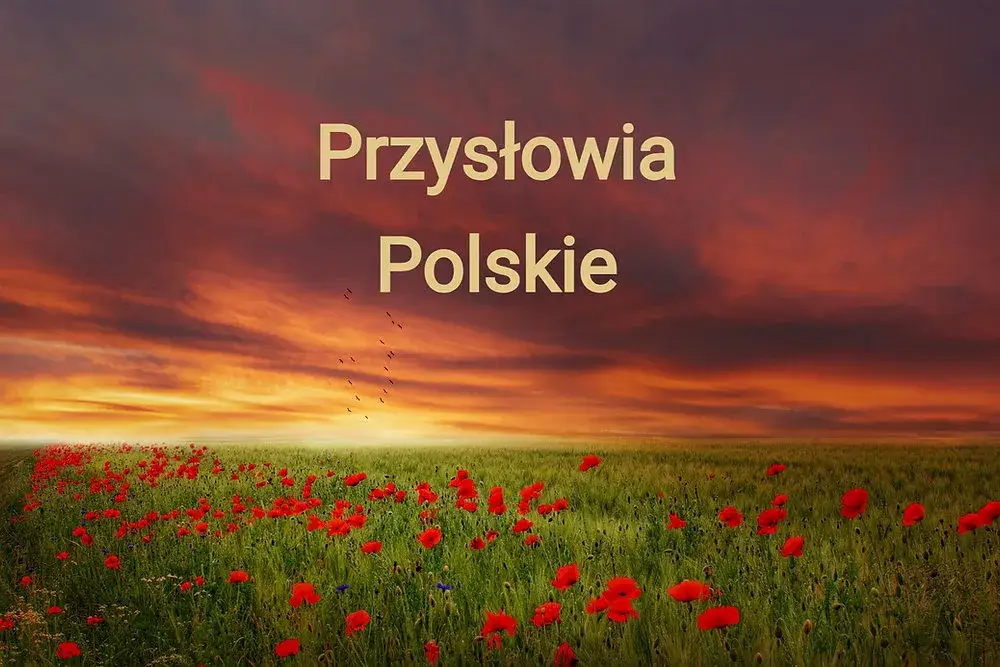 Zdjęcie Fajne powiedzenia: Mądrość ludowa w codziennym życiu Polaków