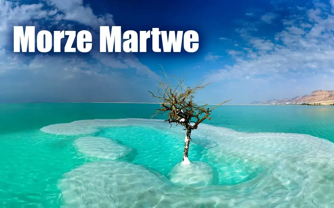 Zdjęcie Co żyje w Morzu Martwym? Zaskakujące organizmy w ekstremalnych warunkach