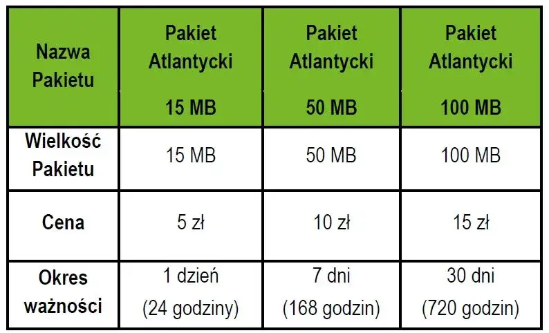 Zdjęcie Ile internetu w roamingu? Sprawdź, jak uniknąć wysokich opłat za granicą