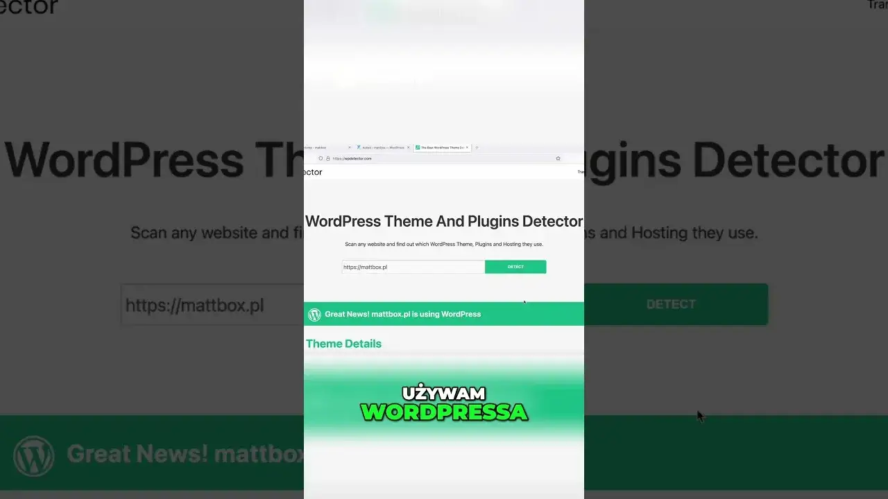 Zdjęcie Jak sprawdzić motyw WordPress i nie dać się oszukać w sieci