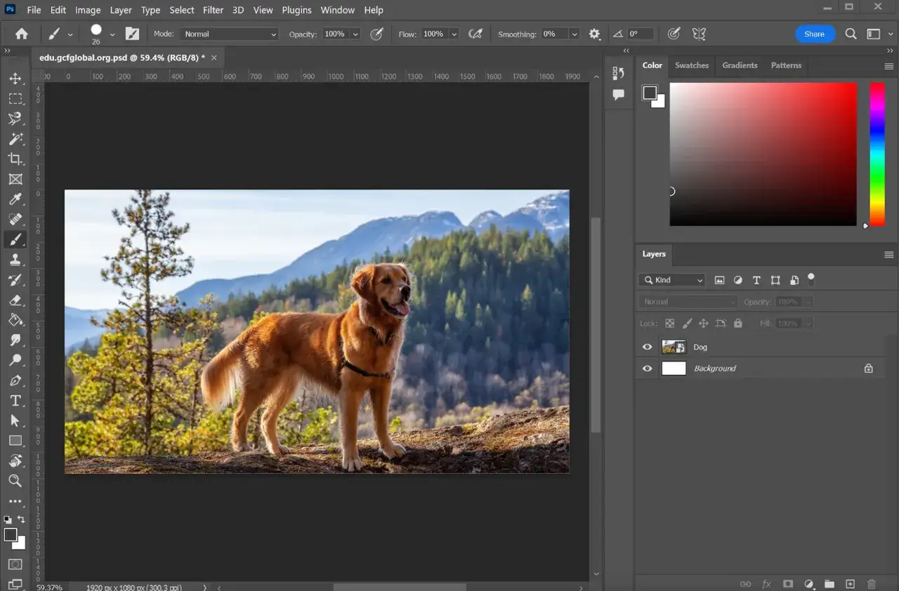 Zdjęcie Jak wyciąć postać w Photoshopie i uzyskać profesjonalne efekty