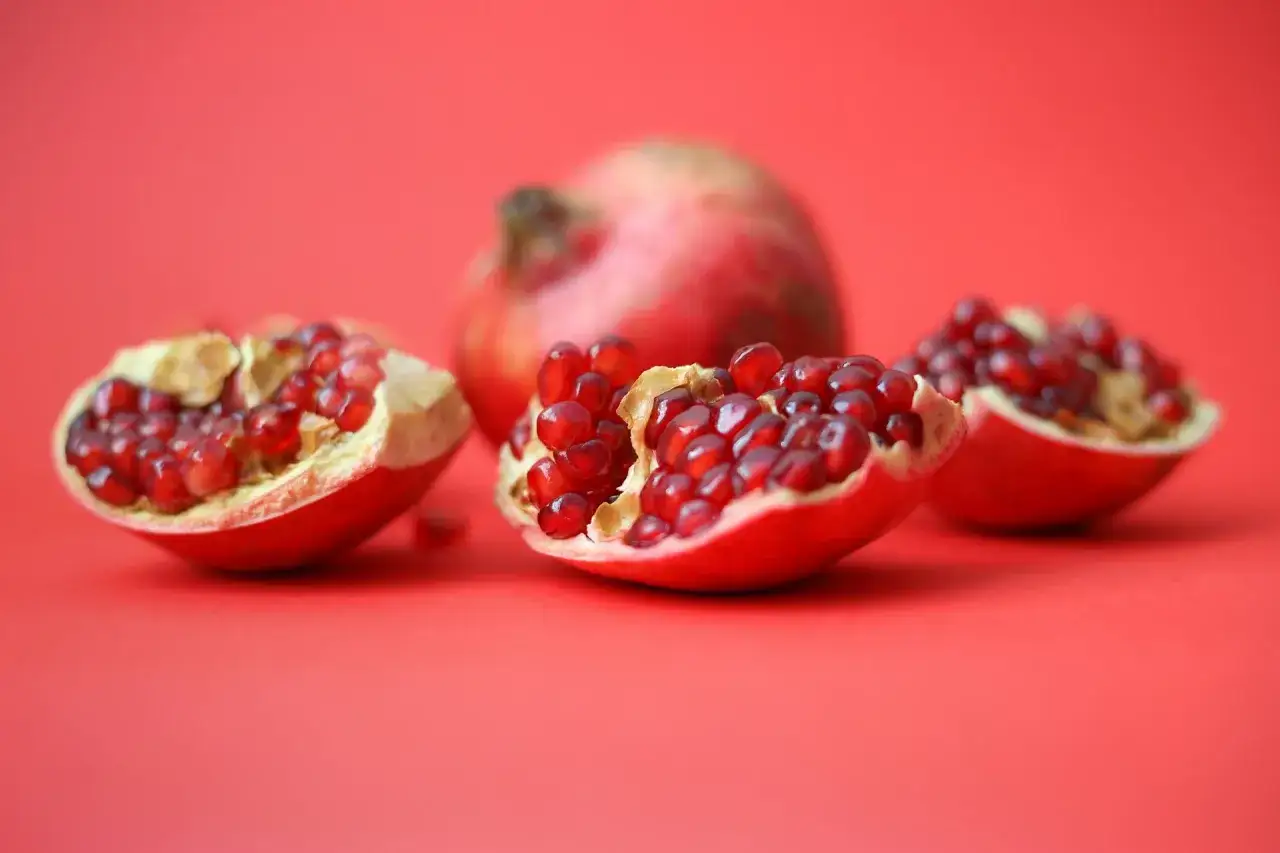 Zdjęcie Czy pies może jeść granata? Sprawdź, jakie są zagrożenia i zasady podawania