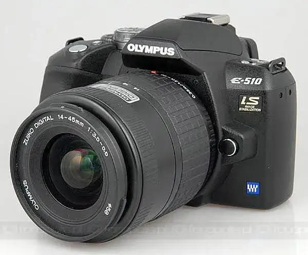 Zdjęcie Najlepsze obiektywy do Olympus E-510 - wybierz idealny do zdjęć