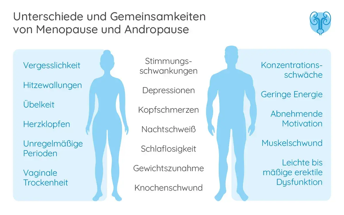 Zdjęcie Symptome Wechseljahre Mann: Erkennen Sie die Anzeichen und Risiken