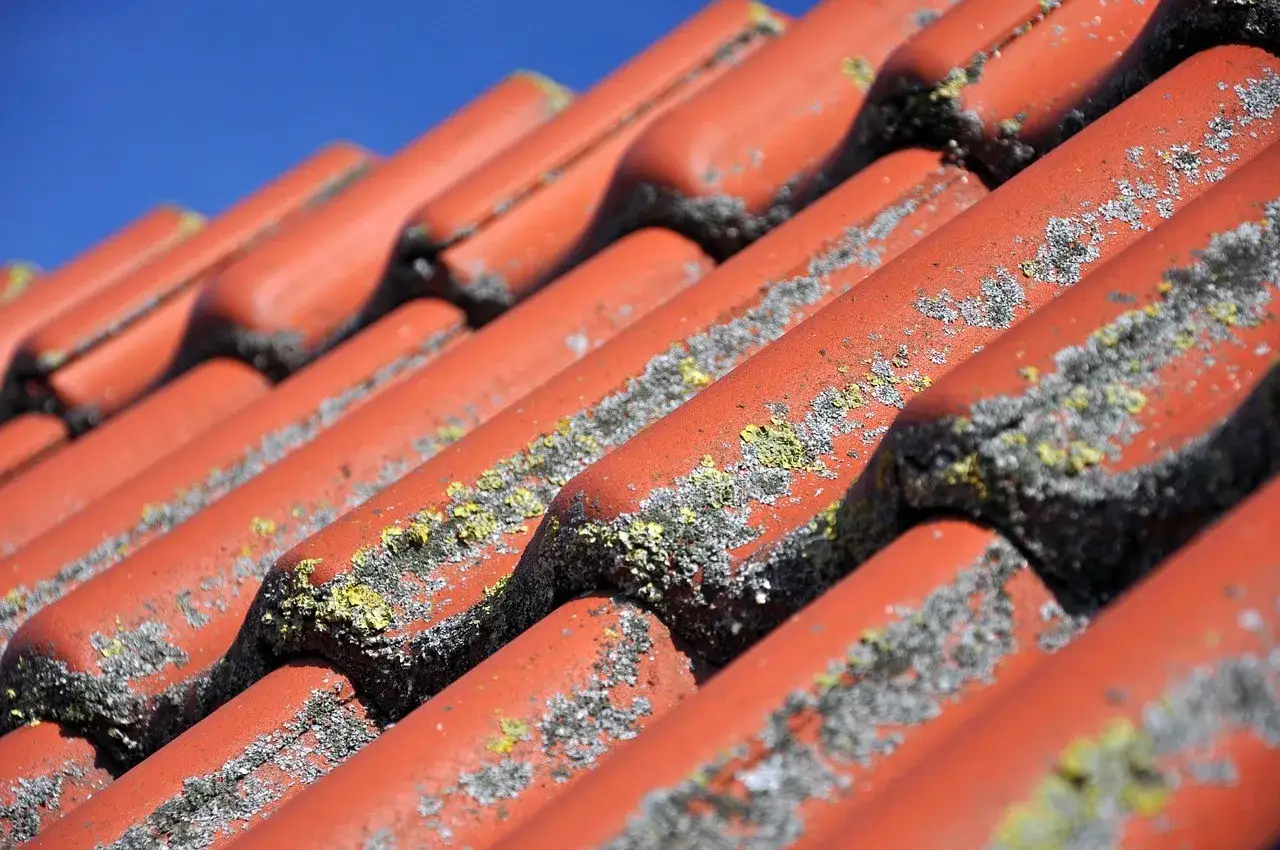 Zdjęcie Jak skutecznie zaimpregnować dachówkę ceramiczną - poradnik
