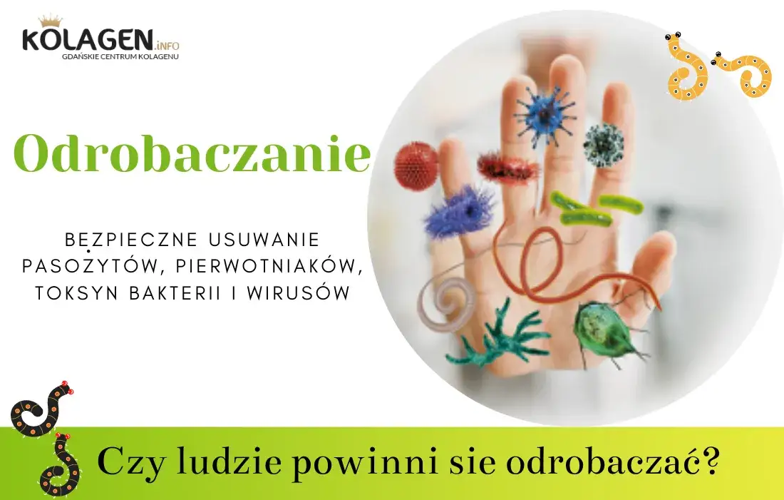 Zdjęcie Objawy odrobaczania: Co musisz wiedzieć o skutkach ubocznych