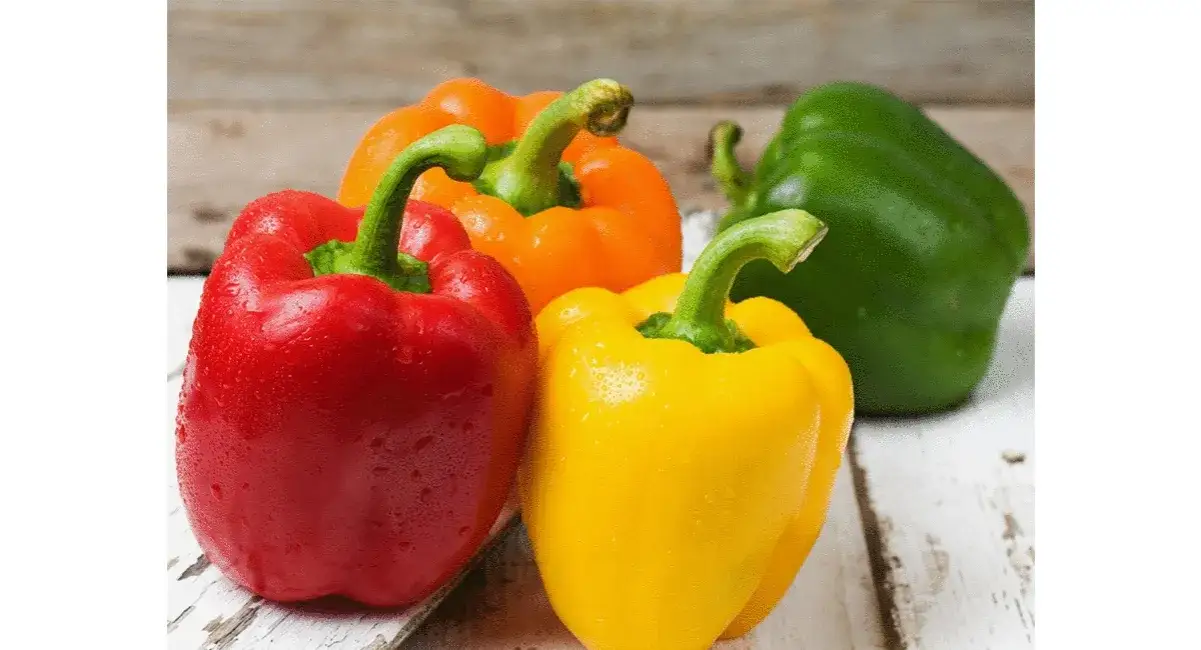 Zdjęcie Paprika vitamin c: So viel steckt wirklich in verschiedenen Farben