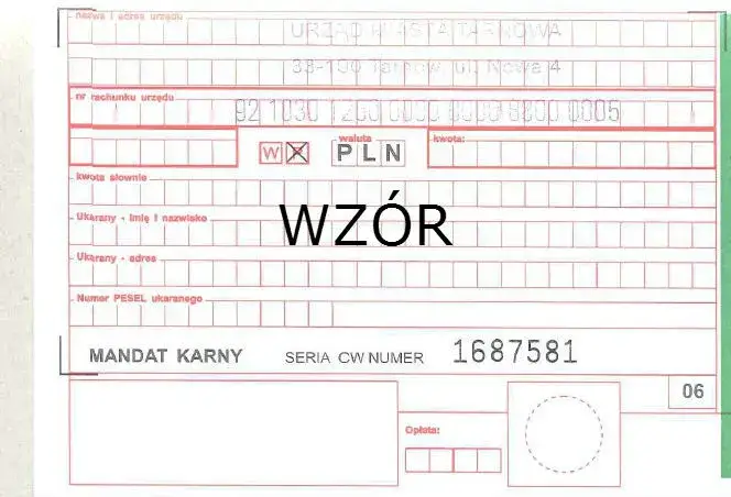 Zdjęcie Symbol płatności za mandat karny: jak znaleźć i zrozumieć kody