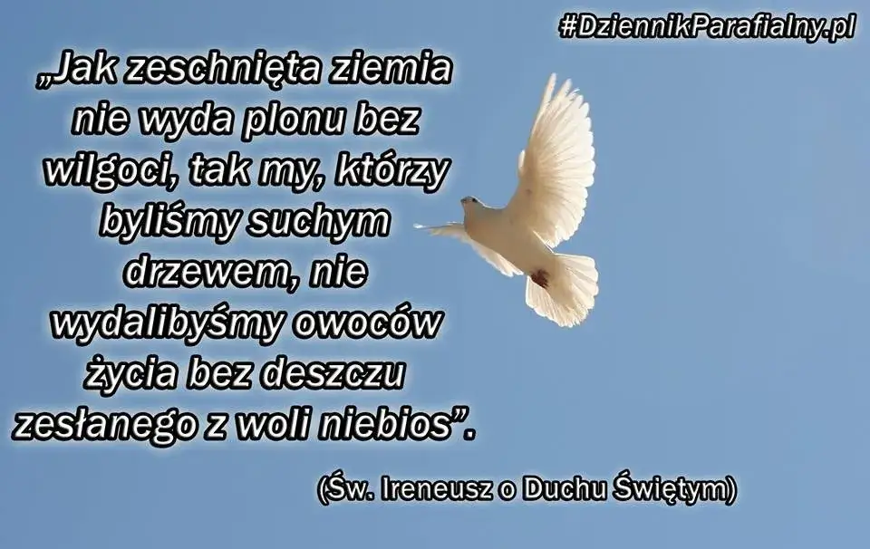 Zdjęcie Modlitwa do Ducha Świętego, który oświeca: jak znaleźć mądrość i wsparcie w życiu duchowym