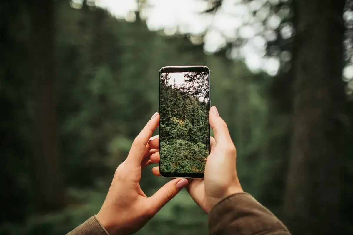 Zdjęcie Jak ustawić aparat w Xiaomi Redmi Note 10 Pro, aby robić lepsze zdjęcia