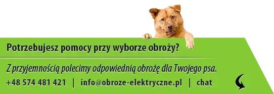 Zdjęcie Jak działa obroża przeciw szczekaniu i czy naprawdę pomaga psom?