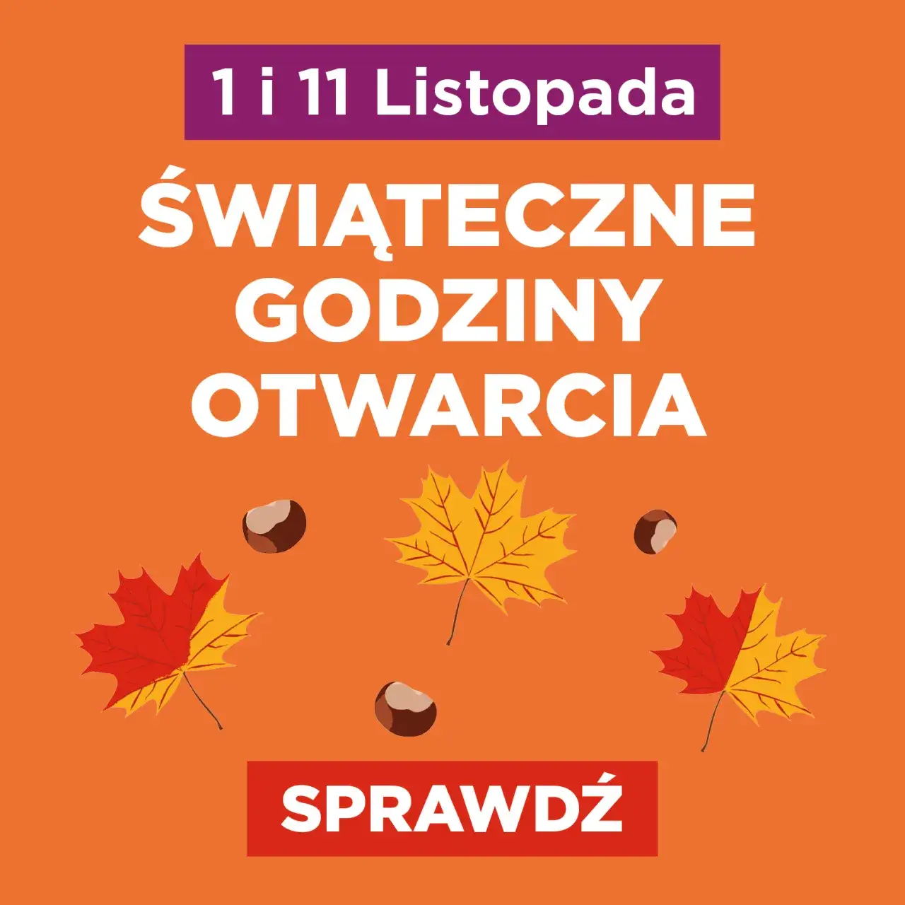 Zdjęcie Czy 1 listopada jest otwarte KFC? Sprawdź godziny otwarcia!