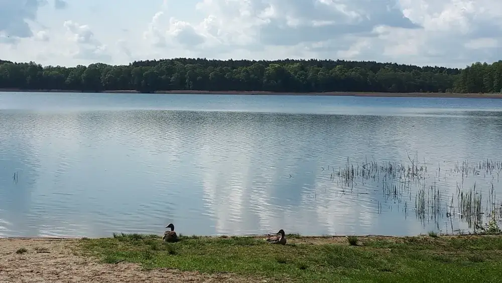 Zdjęcie Jezioro Wilkowskie - piękne miejsce na wypoczynek i wędkowanie