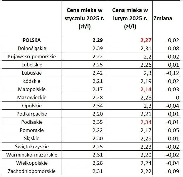 Zdjęcie Po ile mleko w skupie? Aktualne ceny i trendy, które musisz znać