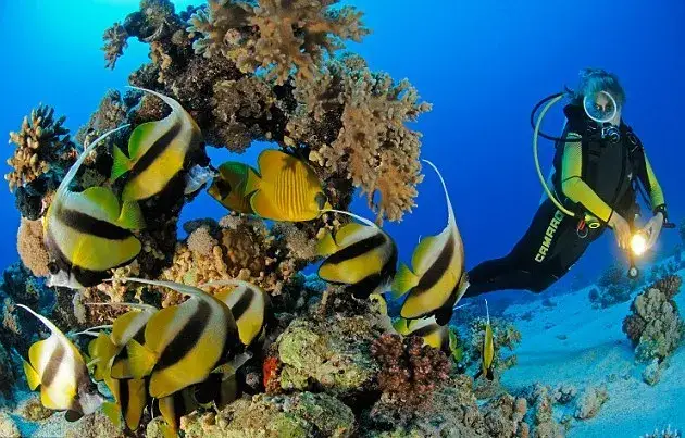 Zdjęcie Hurghada jakie morze - odkryj tajemnice Morza Czerwonego i jego uroki