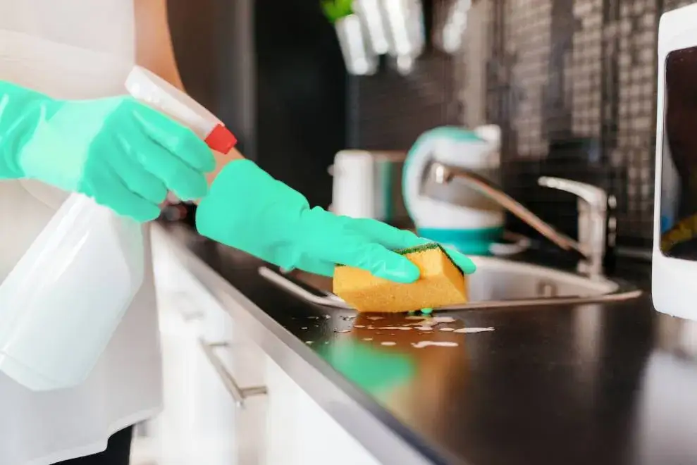 Zdjęcie Jak wyczyścić kamień do pizzy, aby uniknąć jego uszkodzenia?